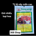 Hạt giống hoa cúc Đà Lạt TN 169 Trang Nông gói 20gram