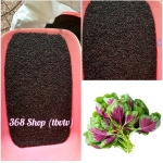 (100g) Hạt giống Rau Dền Lam - Giống tốt nhà nông..dền tía