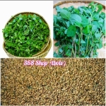 (100gr)💎 Hạt giống Rau Dền Cơm (Lẻ)🌱 Giống tốt nhà nông 368 Shop (tbvtv)