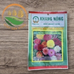 Hạt giống HOA CÚC THƯỢC DƯỢC NHIỀU MÀU - Khang nông